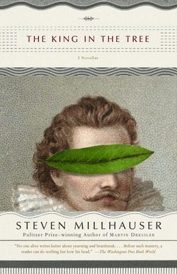 Steven Millhauser - The King in the Tree, Häftad