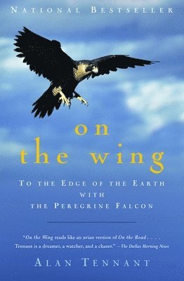 Alan Tennant - On the Wing: To the Edge of the Earth with the Peregrine Falcon, Häftad