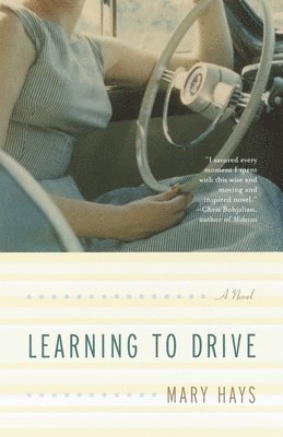 bokomslag Learning to Drive