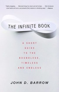 bokomslag The Infinite Book