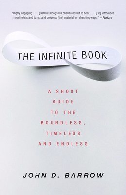 bokomslag The Infinite Book