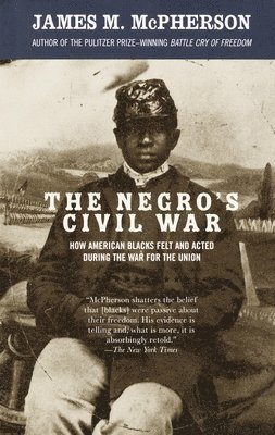 The Negro's Civil War 1