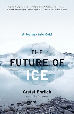 bokomslag The Future of Ice