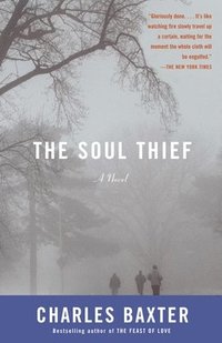 bokomslag The Soul Thief