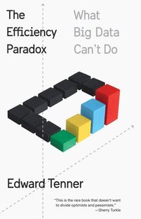 bokomslag The Efficiency Paradox: What Big Data Can't Do