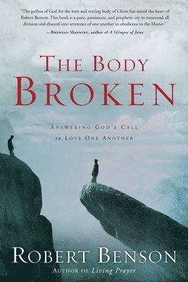 bokomslag Body Broken