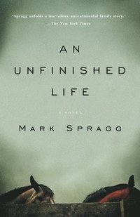 bokomslag An Unfinished Life