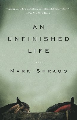 An Unfinished Life 1