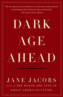 bokomslag Dark Age Ahead