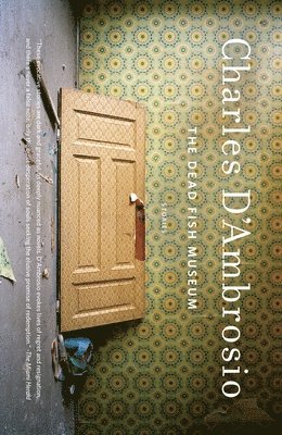 The Dead Fish Museum: Stories (Washington State Book Award)