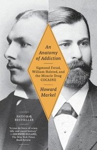 bokomslag An Anatomy of Addiction: Sigmund Freud, William Halsted, and the Miracle Drug Cocaine