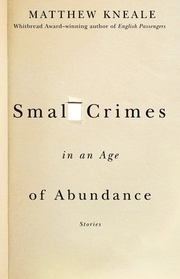 bokomslag Small Crimes in an Age of Abundance