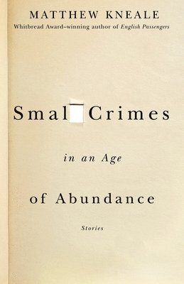 Small Crimes in an Age of Abundance 1