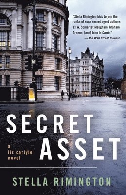 bokomslag Secret Asset