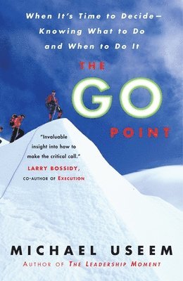 bokomslag The Go Point
