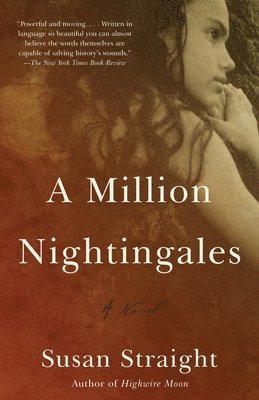 bokomslag A Million Nightingales