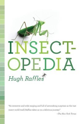 Hugh Raffles - Insectopedia, Häftad