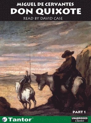 bokomslag Don Quixote