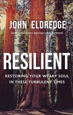 John Eldredge - Resilient, Inbunden