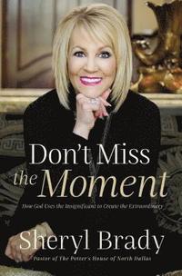 bokomslag Don't Miss the Moment: How God Uses the Insignificant to Create the Extraordinary