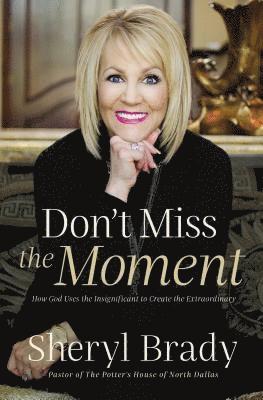 bokomslag Don't Miss the Moment: How God Uses the Insignificant to Create the Extraordinary