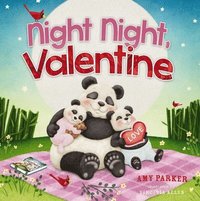 bokomslag Night Night, Valentine