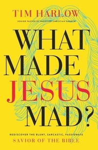 bokomslag What Made Jesus Mad?