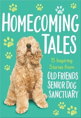 Homecoming Tales 1