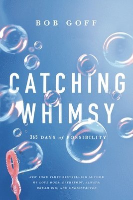 Catching Whimsy 1