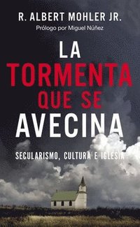 bokomslag La tormenta que se avecina