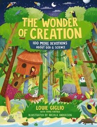 bokomslag The Wonder of Creation