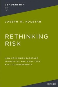 bokomslag Rethinking Risk