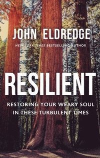 bokomslag Resilient