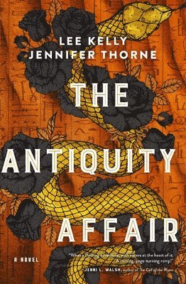 bokomslag The Antiquity Affair