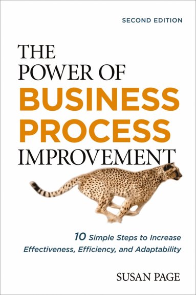 Susan Page - Power of Business Process Improvement, Häftad