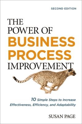 The Power of Business Process Improvement 1