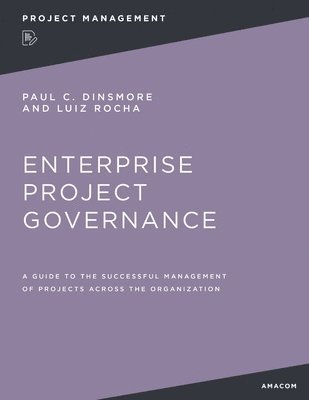 bokomslag Enterprise Project Governance