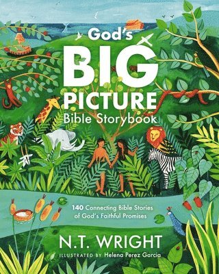 God's Big Picture Bible Storybook 1