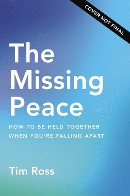 The Missing Peace 1