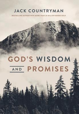 bokomslag God's Wisdom and Promises