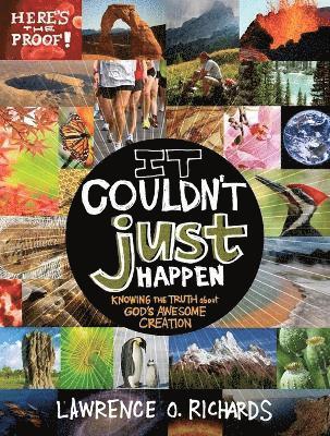 Lawrence O. Richards, Lawrence Richards - It Couldn't Just Happen, Häftad