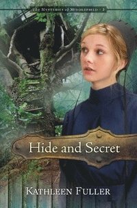 bokomslag Hide and Secret