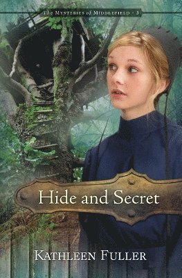 bokomslag Hide and Secret