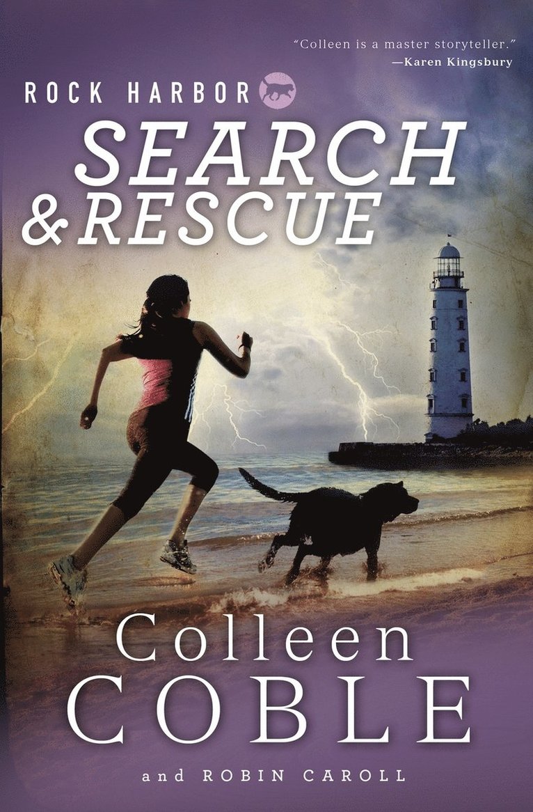 Rock Harbor Search and Rescue 1