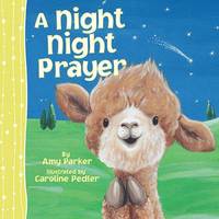 bokomslag A Night Night Prayer