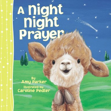 Amy Parker - Night Night Prayer, Kartonnage