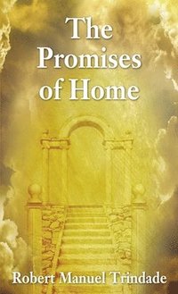 bokomslag The Promises of Home
