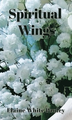 Spiritual Wings 1