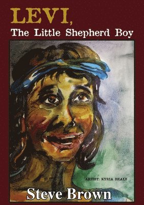 bokomslag Levi The Little Shepherd Boy
