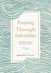 bokomslag Praying Through Infertility